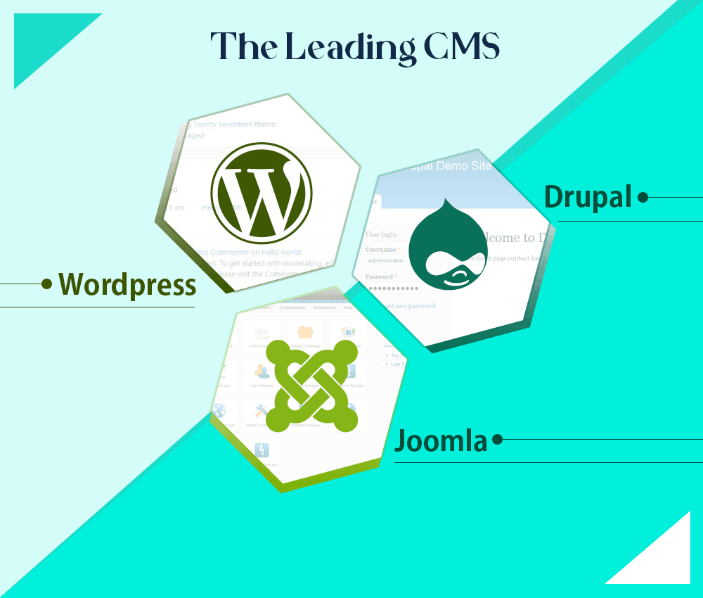 The Leading CMS