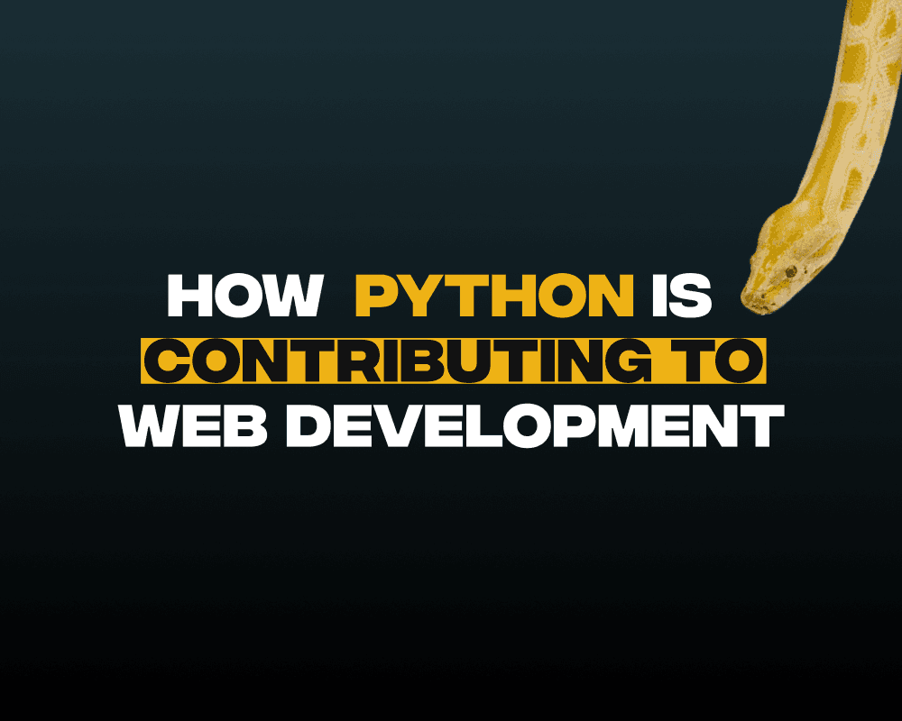 How Python is Contributing to Web Development